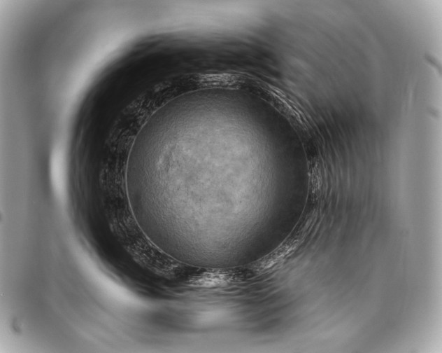 X0000096440764200802071748