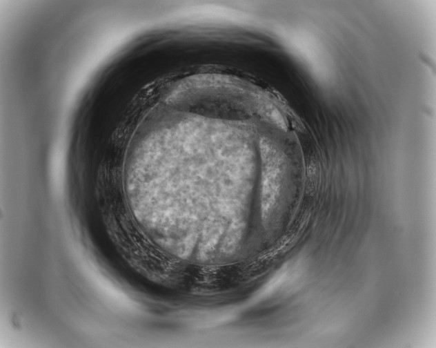 X0000096440765200802071748