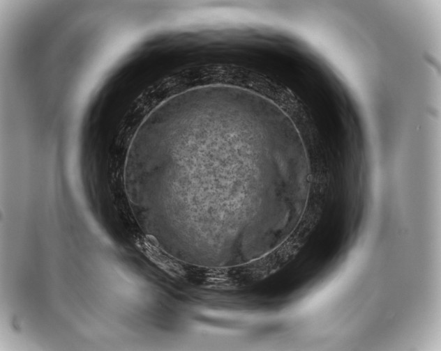 X0000096440766200802071748