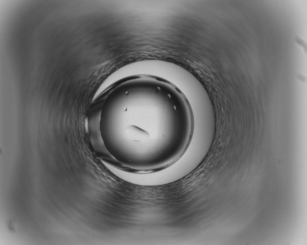 X0000096440768200802071748