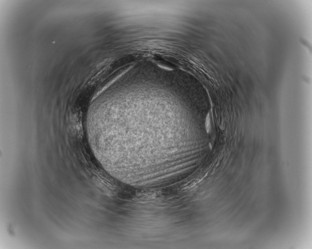 X0000096440771200802071747