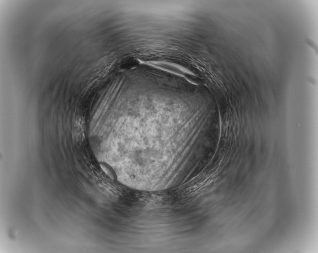 X0000096440772200802071747