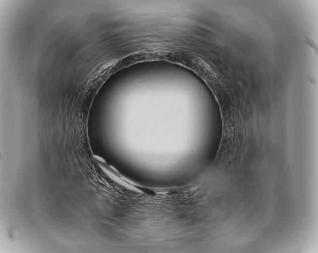 X0000096440773200802071747