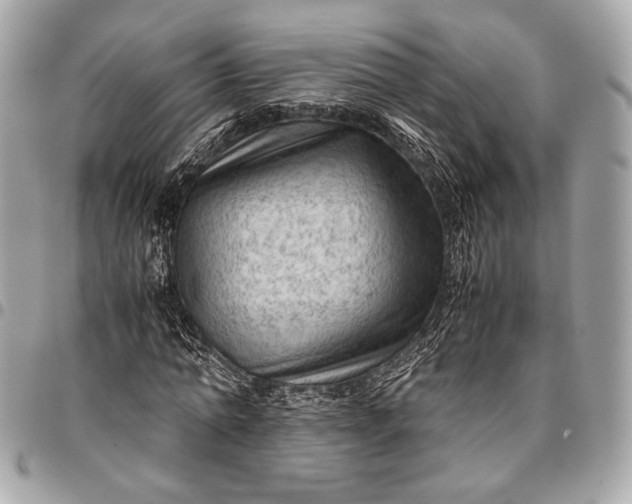 X0000096440774200802071747