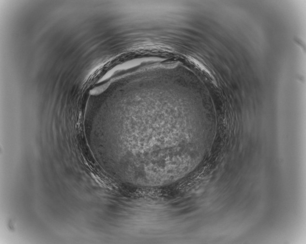 X0000096440775200802071747