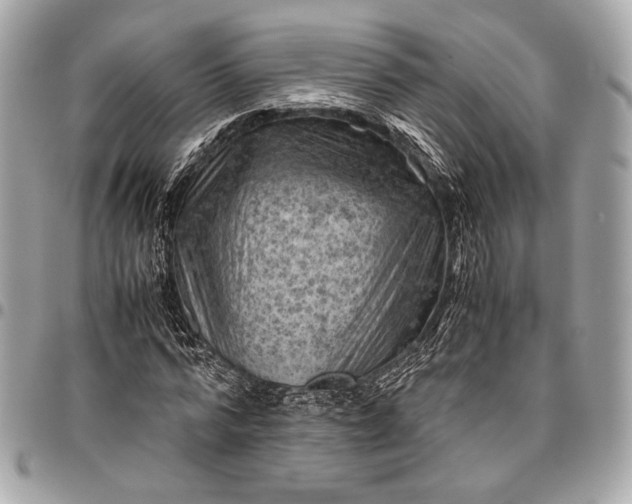 X0000096440776200802071747