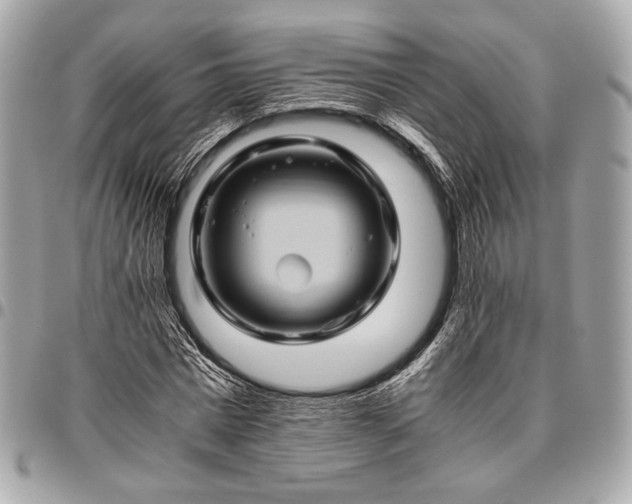 X0000096440777200802071747