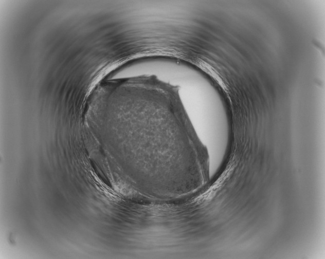 X0000096440781200802071747