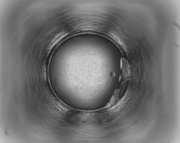 X0000096440782200802071747