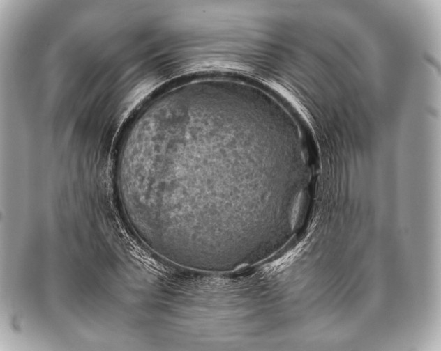 X0000096440783200802071747