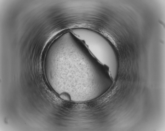 X0000096440784200802071747