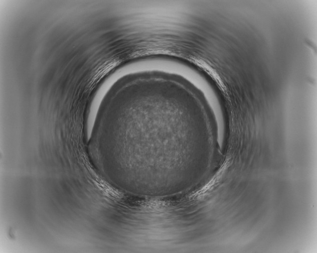 X0000096440785200802071747