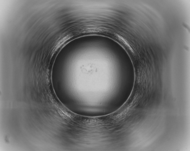 X0000096440786200802071747