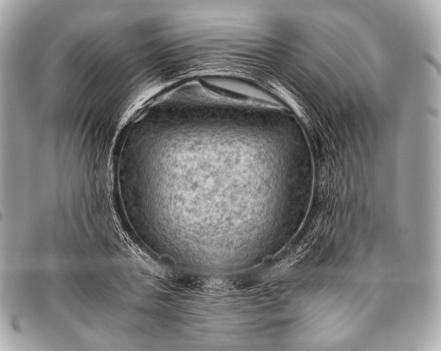 X0000096440787200802071747