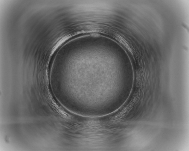 X0000096440789200802071747