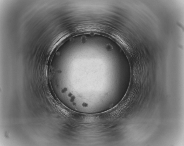 X0000096440790200802071747