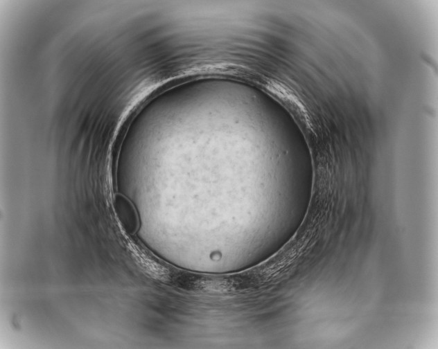 X0000096440792200802071747