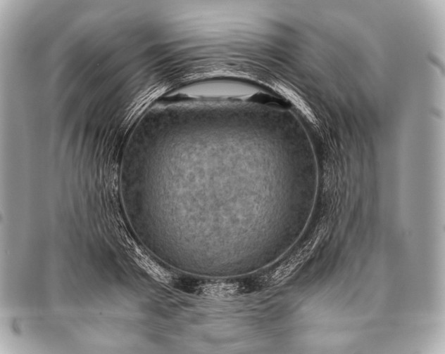 X0000096440793200802071747