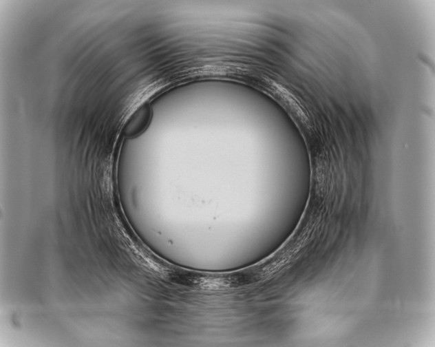 X0000096440794200802071747