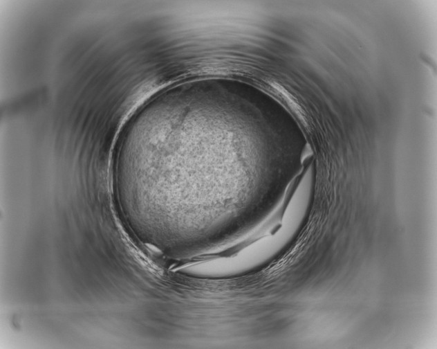 X0000096440795200802071747