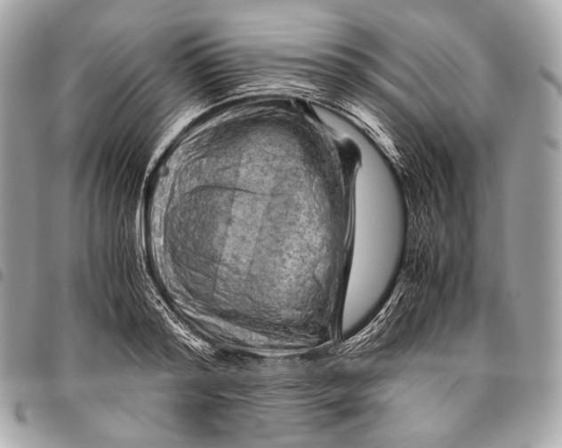 X0000096440796200802071747