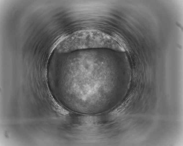 X0000096440797200802071747