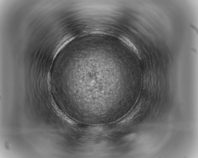 X0000096440798200802071747