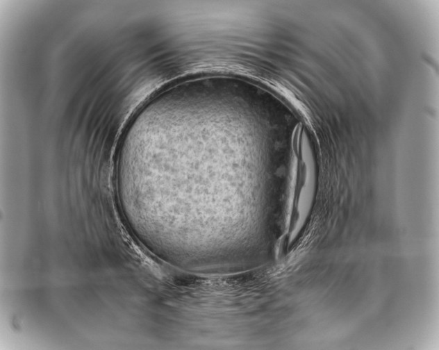 X0000096440799200802071747