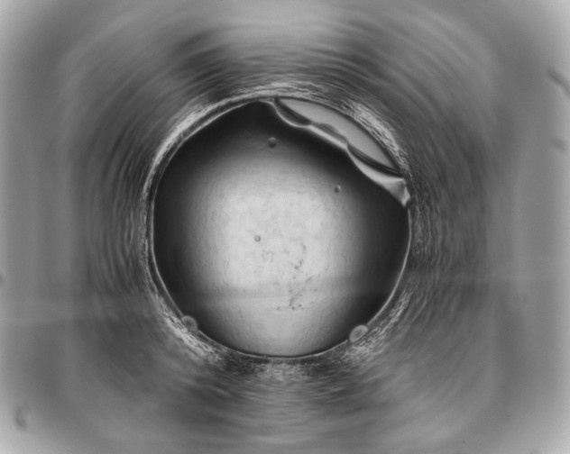 X0000096440800200802071747