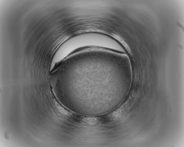 X0000096440801200802071747