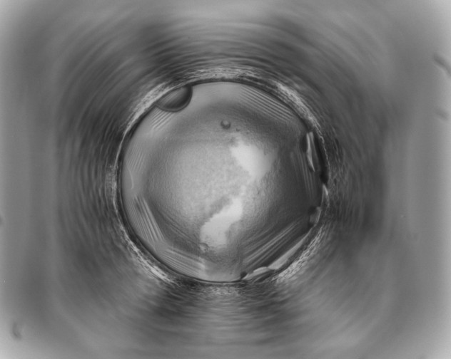 X0000096440802200802071747