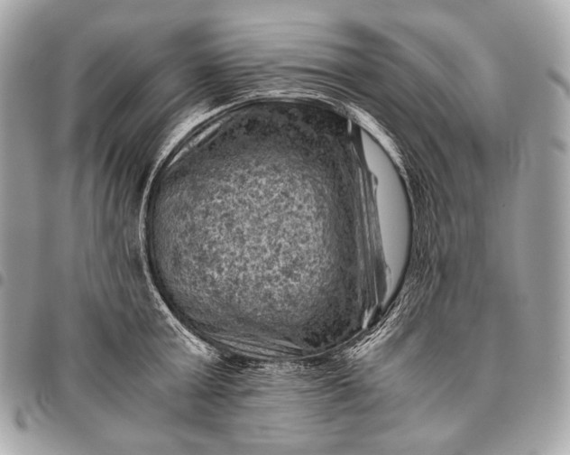 X0000096440803200802071747