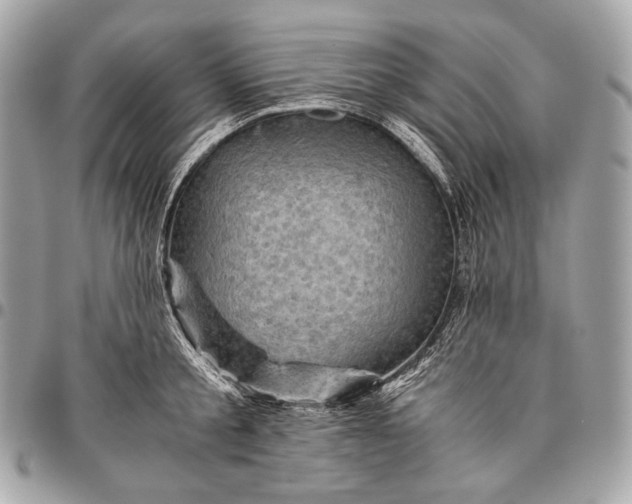 X0000096440805200802071747