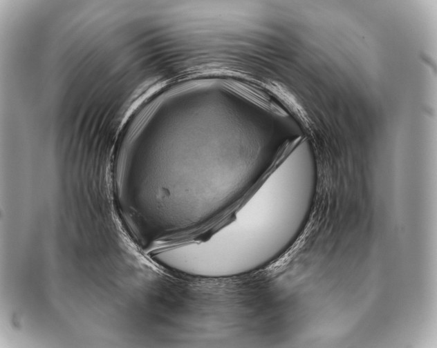 X0000096440806200802071747