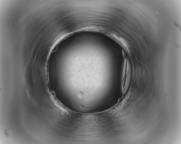 X0000096440808200802071747