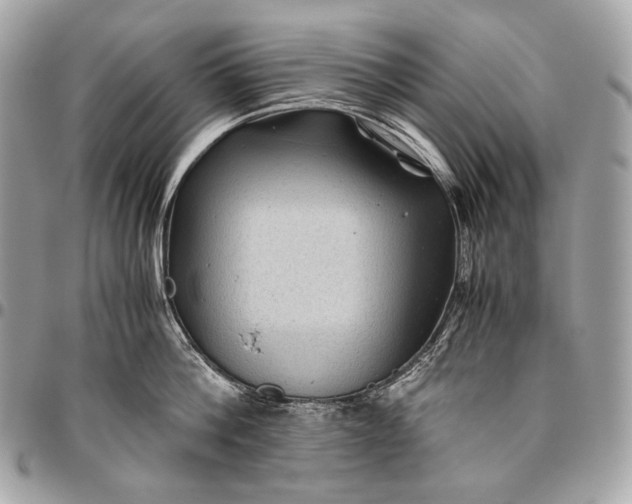 X0000096440812200802071747