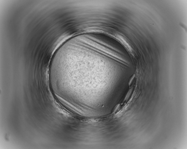 X0000096440814200802071747