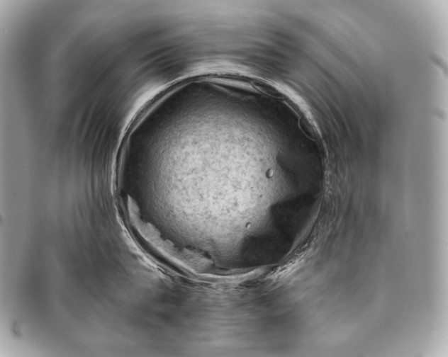 X0000096440815200802071746