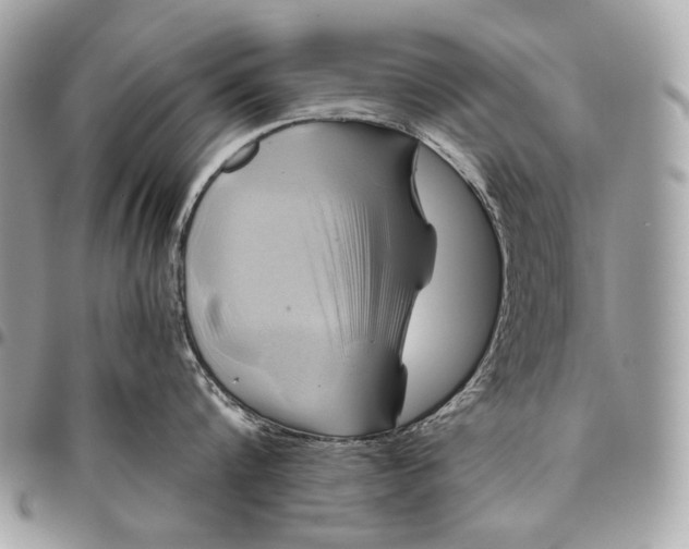 X0000096440816200802071746