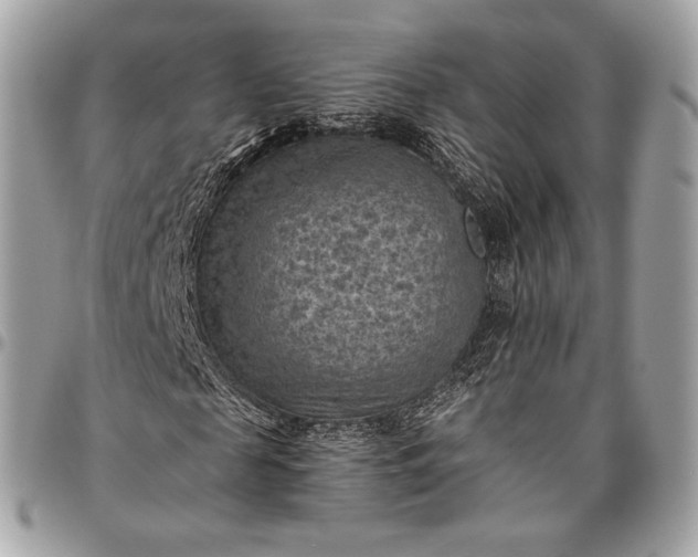 X0000096440817200802071746