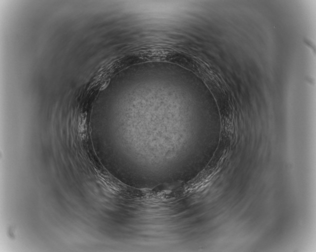 X0000096440818200802071746