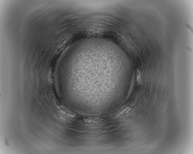 X0000096440819200802071746