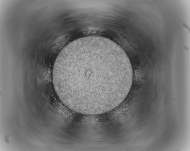 X0000096440820200802071746