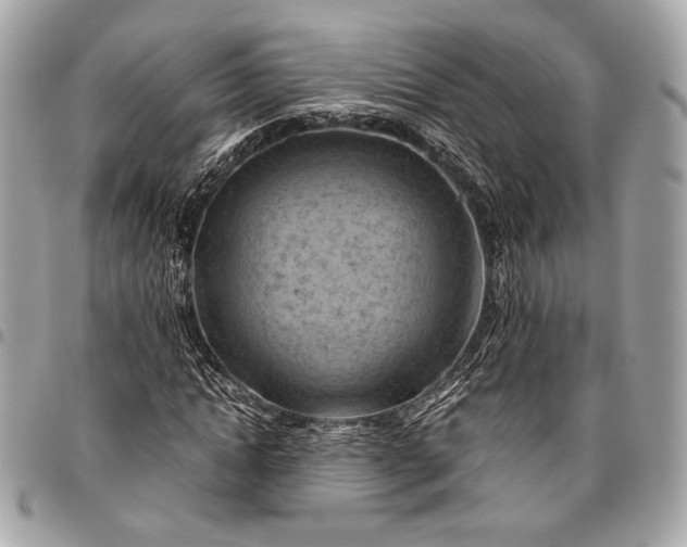 X0000096440822200802071746