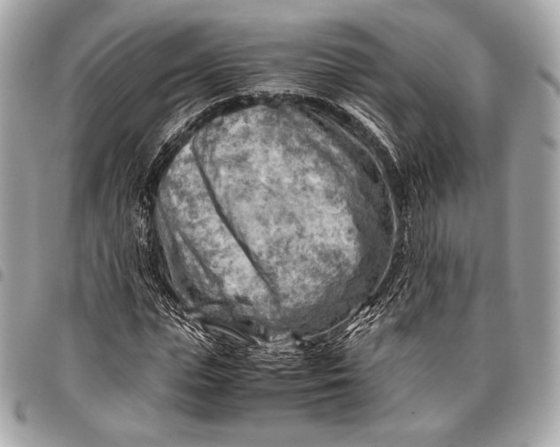 X0000096440823200802071746