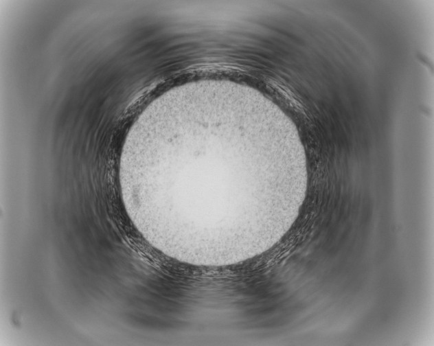 X0000096440824200802071746