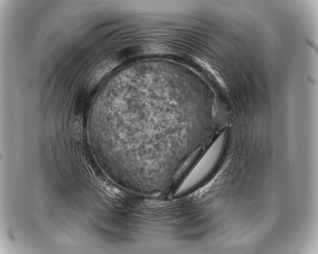 X0000096440825200802071746