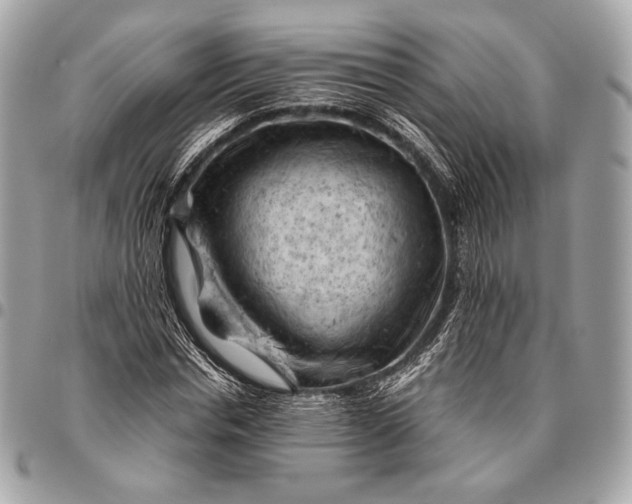 X0000096440826200802071746