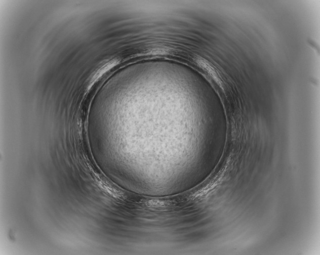 X0000096440827200802071746