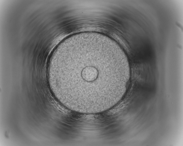 X0000096440828200802071746